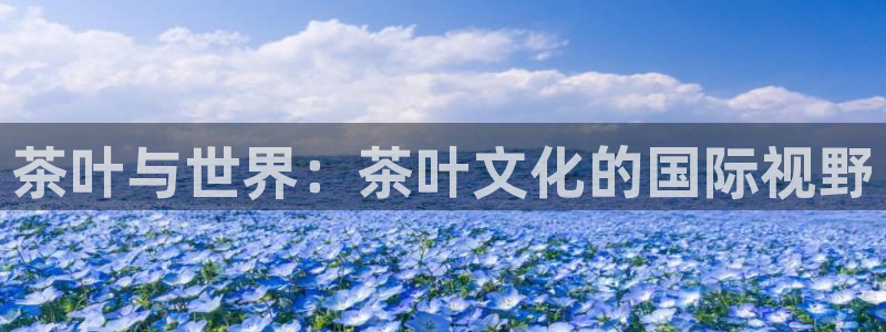 安信12官网qq