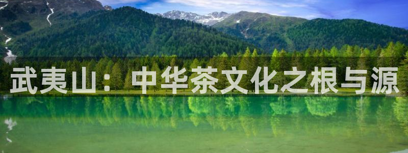 安信锐赢134号12月