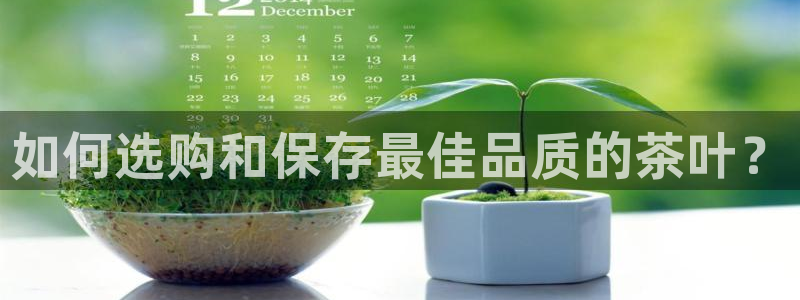 安信12周年庆典
