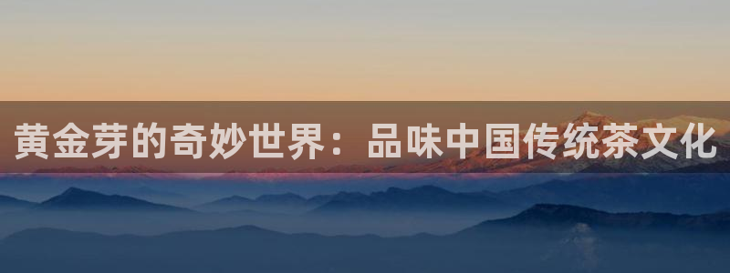 安信 12