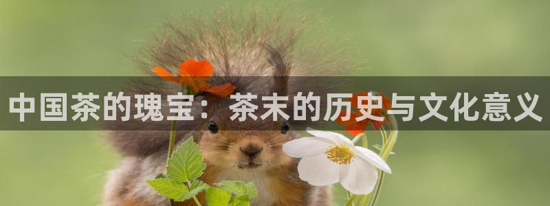 安信12官方下载