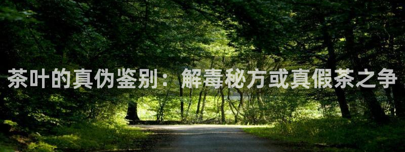 安信12软件介绍