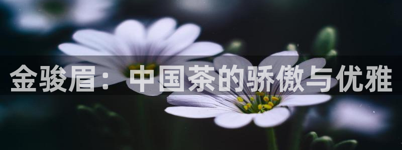 信安杯12