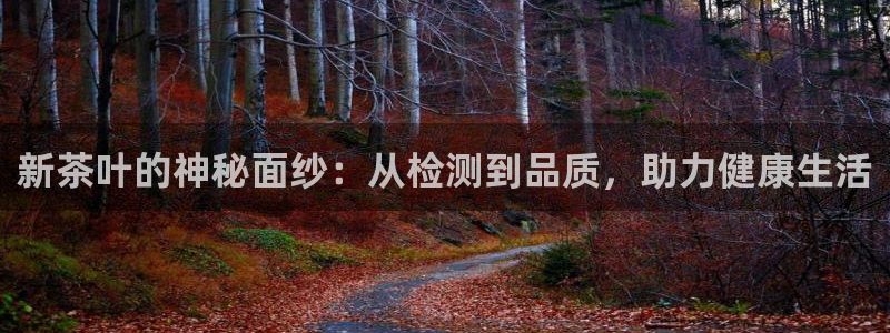 安信12级大众