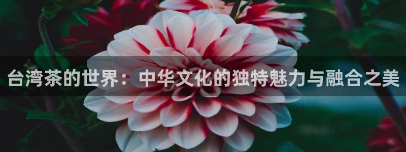 安信12平台最新消息