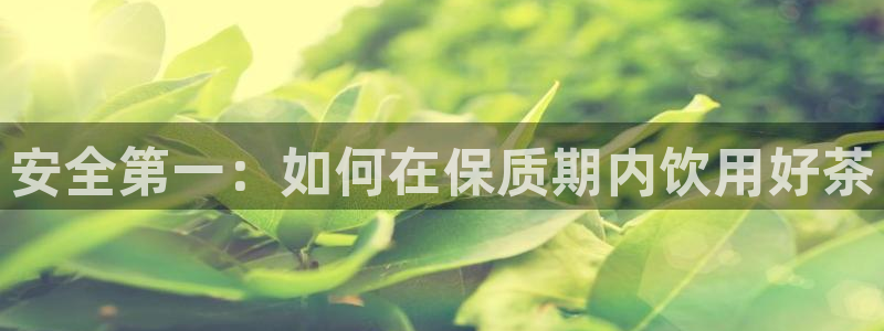 安信12怎么下载