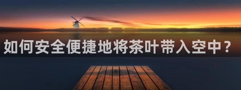 安信cw12系列