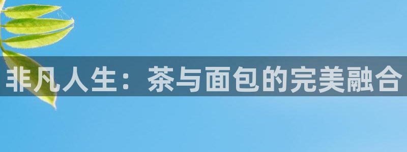 安信12平台的网址