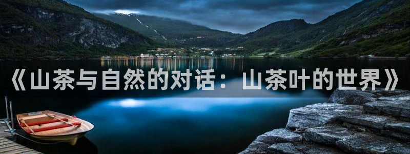 安信12开户