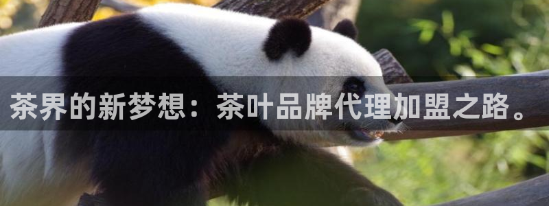 如何注销安信12软件