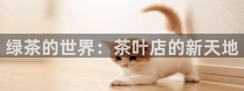 安信12是正轨网站吗