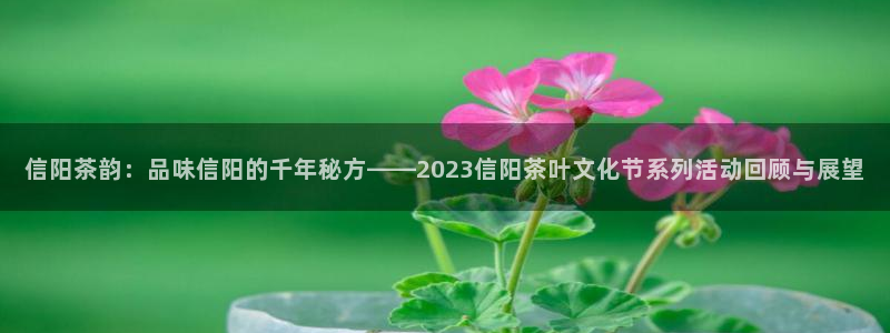 安信12娱乐主管