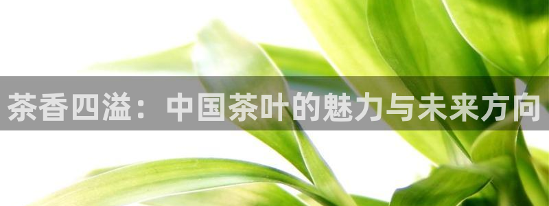 安信可 esp-12