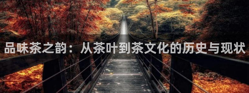 安信12彩票