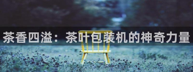 安信12级大众