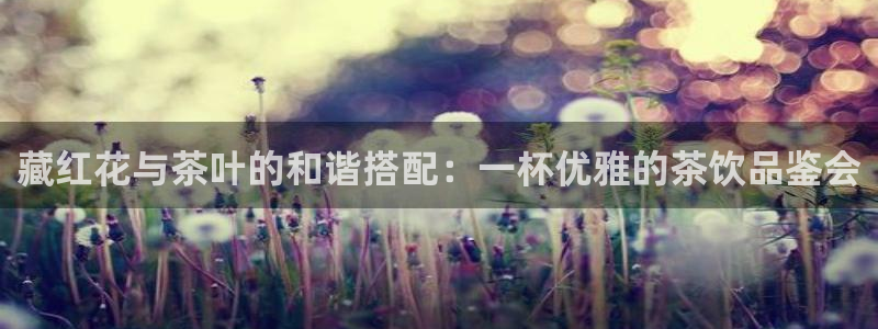 安信12娱乐平台