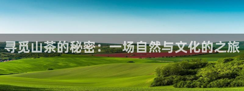 安信12是正规平台吗