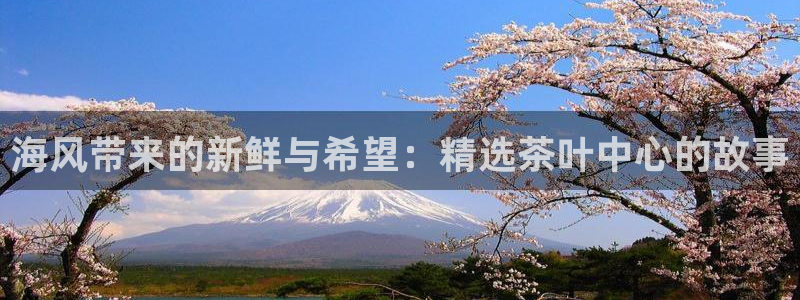 安信12级大众