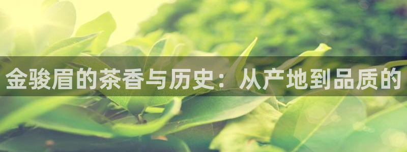 安卓12微信