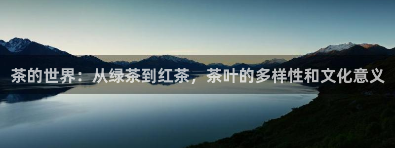 安信12彩票在线网址