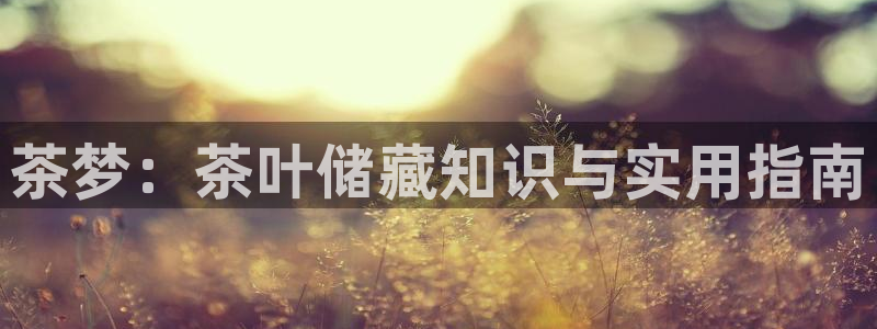 安信12专用挂机