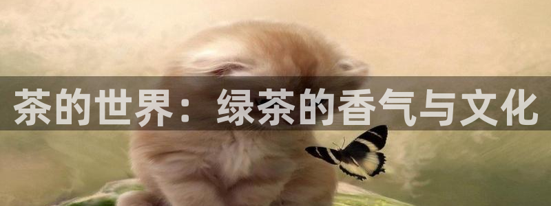 安信12彩票