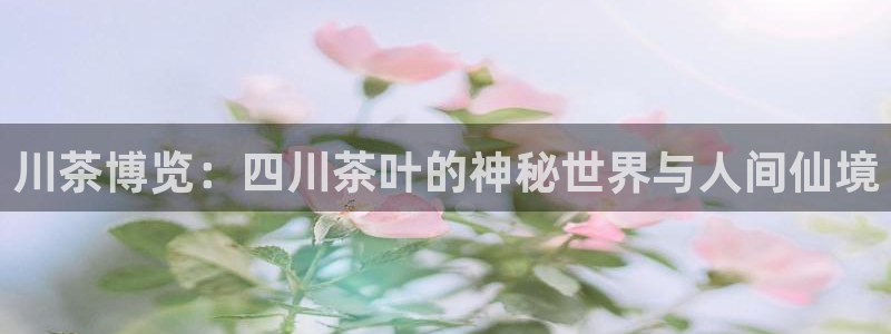 安信12娱乐平台