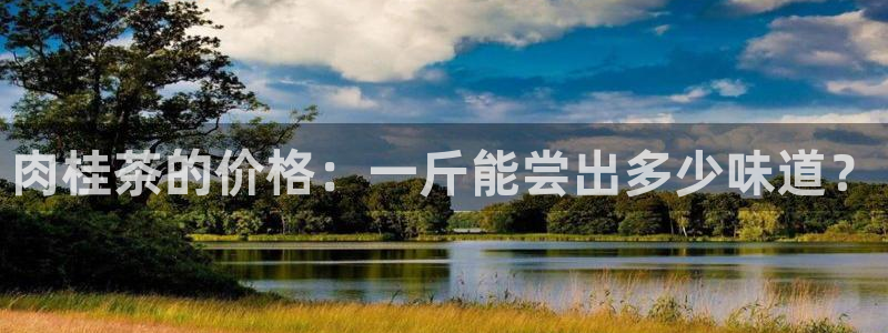 安信12娱乐招商