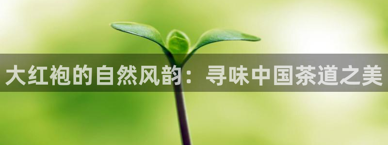 奇安信12流转场