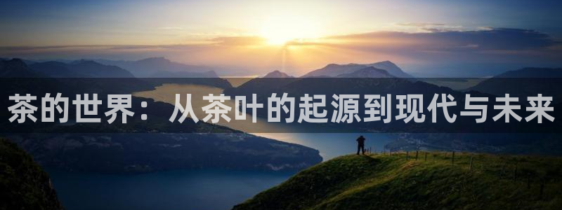 安信12正版下载