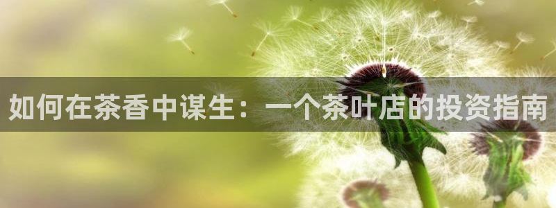 安信12周年庆