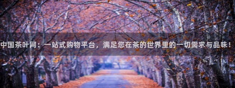 信安12