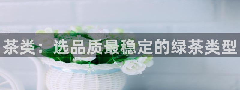 安信可 esp-12