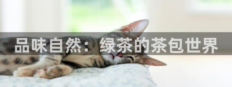 安信12娱乐开户