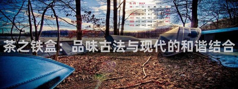 安信312 12
