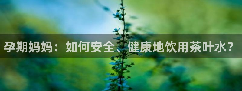 安信12周年