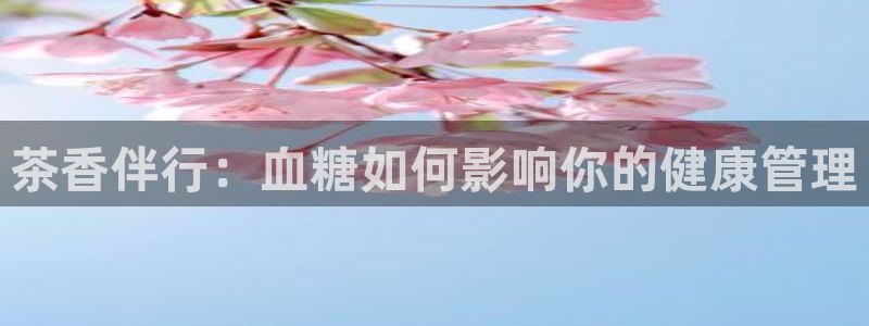 安信12是正规还是仿