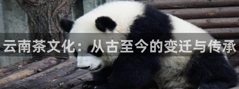安信12周年庆