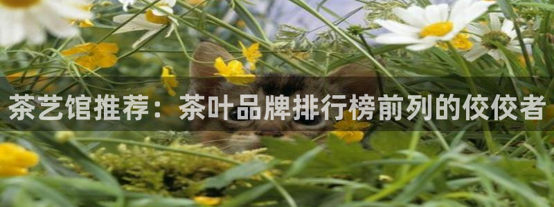 安信可12f12e