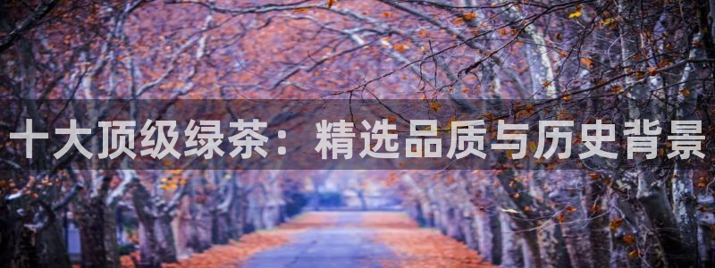 安信12官网qq