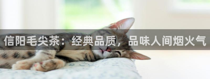 安信12平台