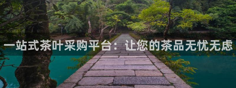 安信12级