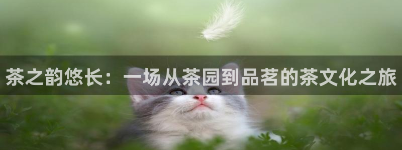 安信12彩票