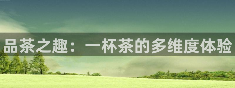 安信锐赢134号12月
