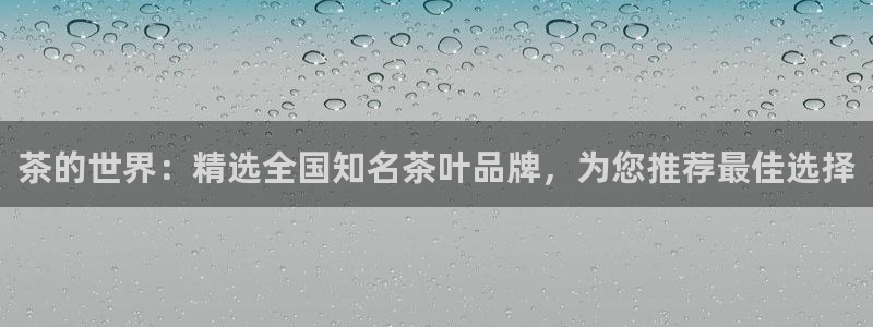 安信12位数资金号