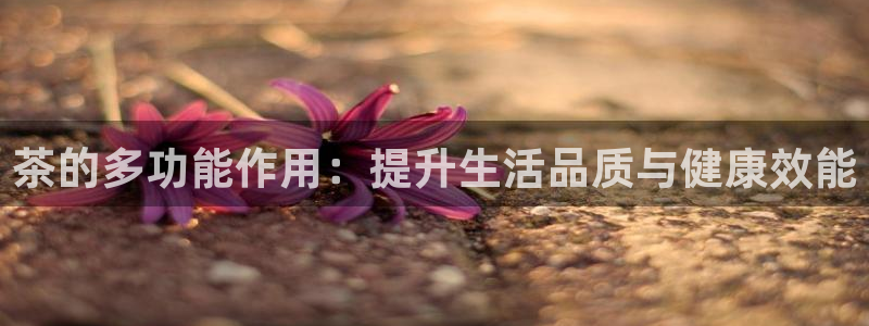 安信12官方下载