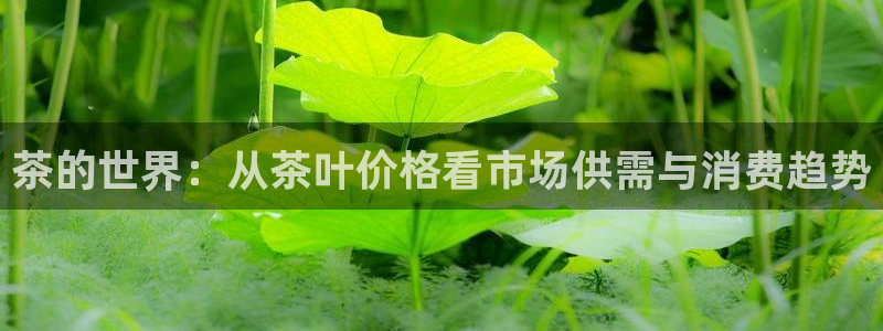 安信12官方网站查询