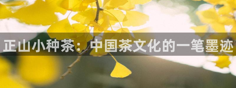 安信12平台下载