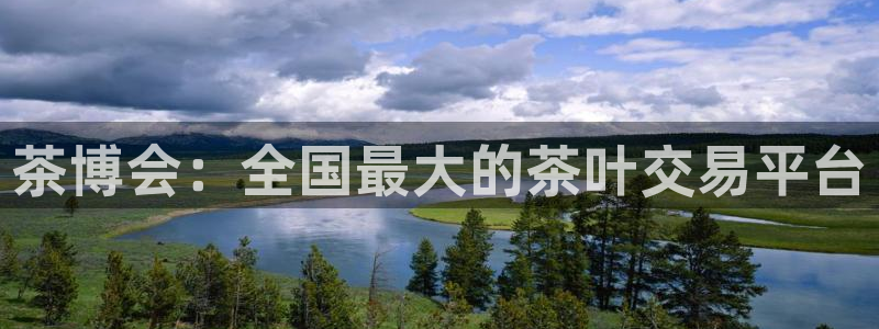 安信12娱乐登录网页