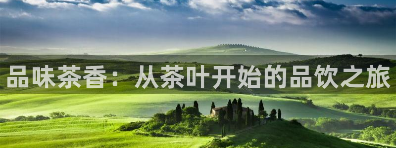 安信证券手机壳12